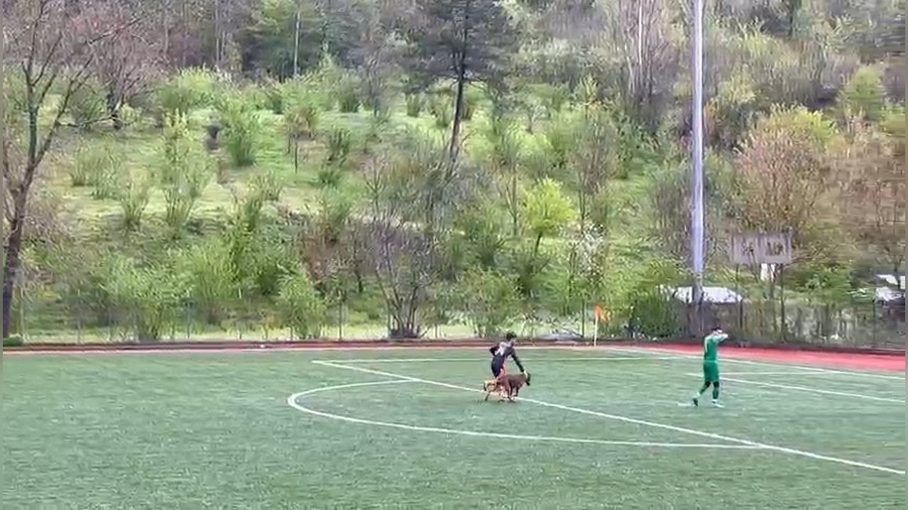 Amatör Futbol Maçında Saha İçi Sürprizi: Köpek Oyuna Girdi