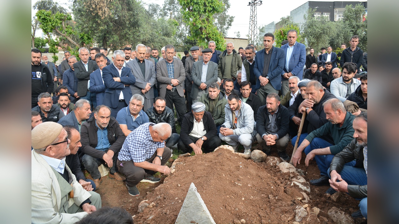 Şanlıurfa'da Üniversite Öğrencisi Sevda, Sokak Köpeklerinden Kaçarken Hayatını Kaybetti