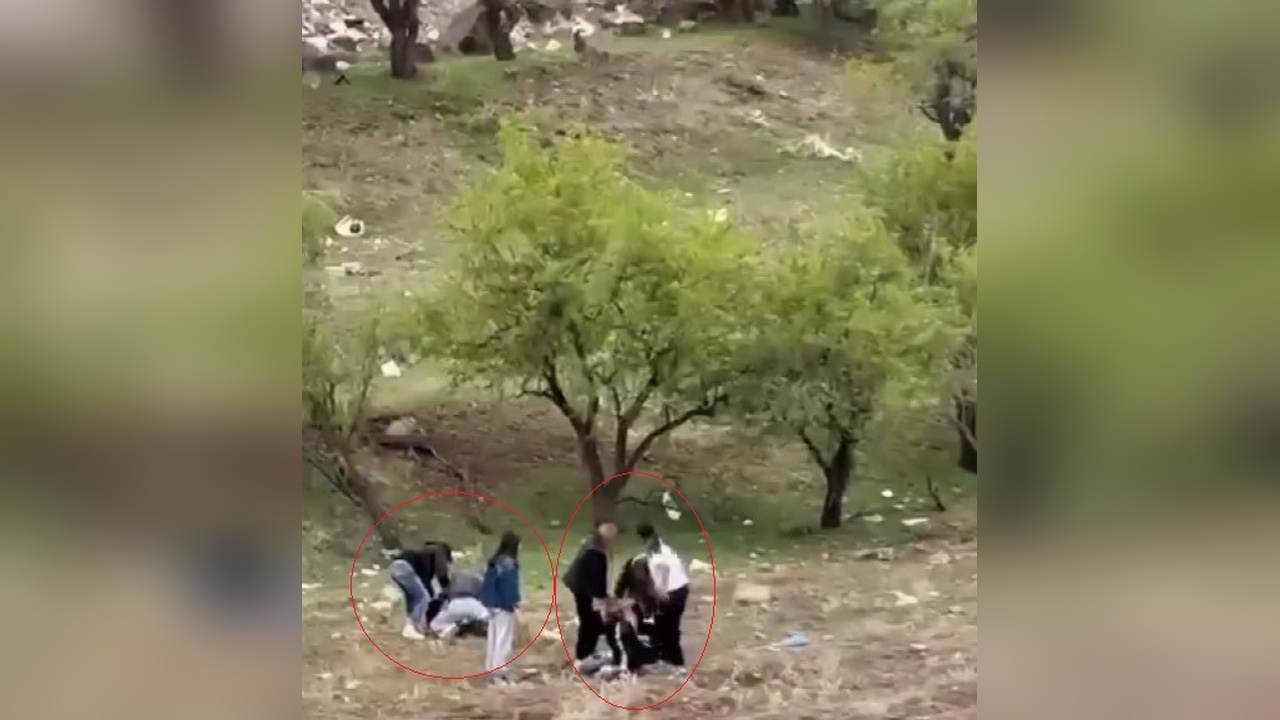Elazığ'da Genç Kızlar Arasında Kavga Kameralara Yansıdı