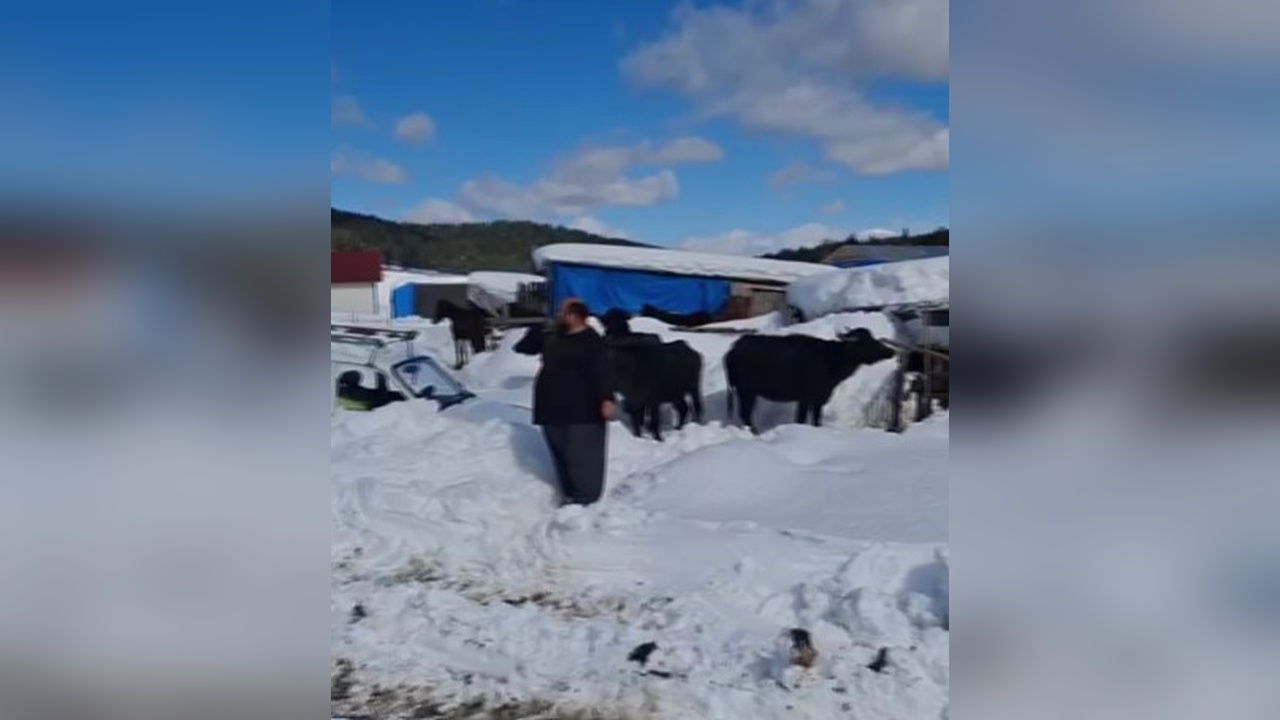 Yaylada Mahsur Kalan Çoban 3 Gün Sonra Kurtarıldı