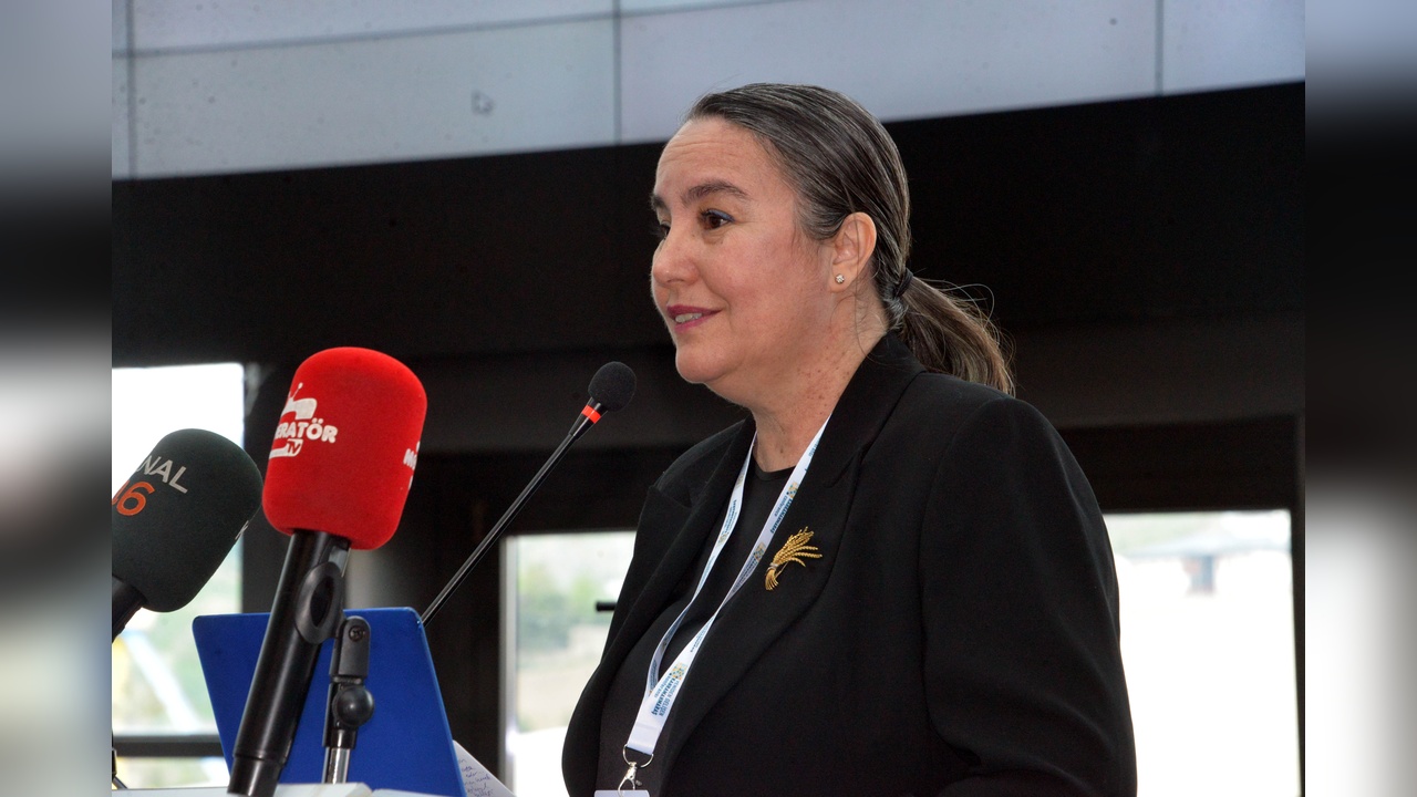 Mimarlar Odası Başkanı Özdoğan: Yapı Denetimlerinin Devlet Tarafından Gerçekleştirilmesi Gerekiyor