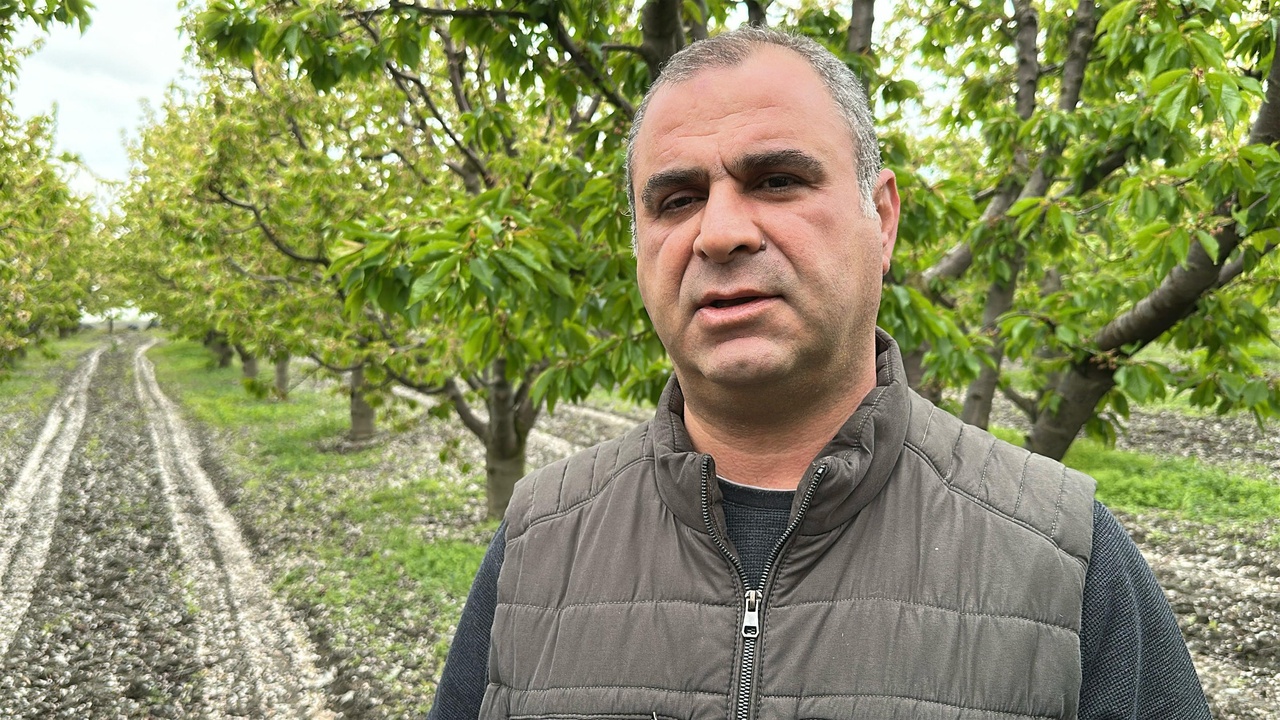 Tokat'ta Elma ve Kiraz Üretiminde Duraklama Yaşanıyor