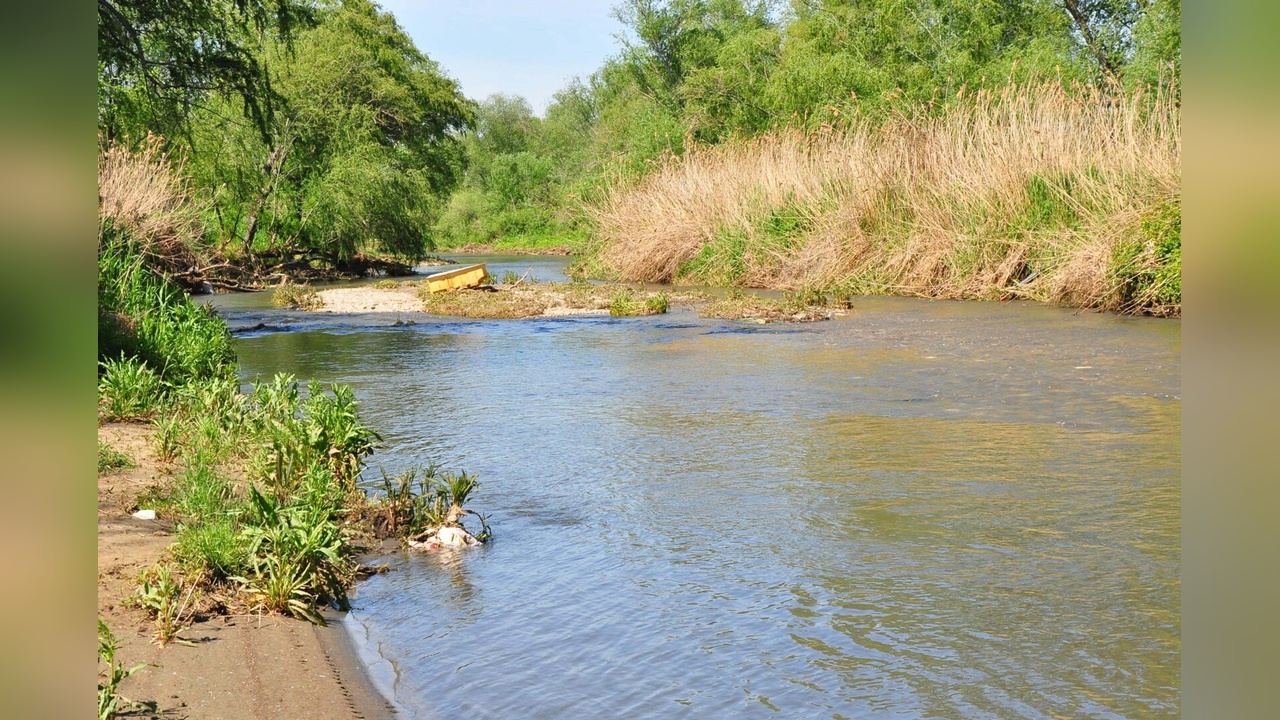 Gediz Nehri Kirliliği Sorunu Devam Ediyor