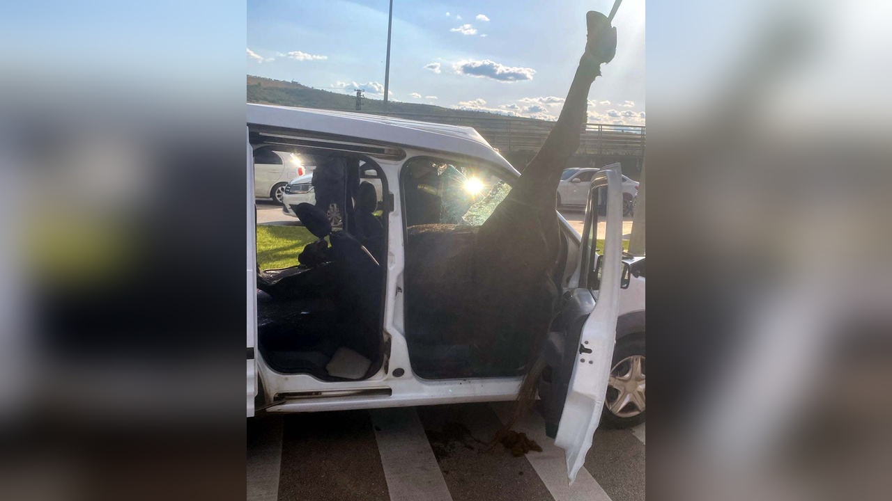 Gaziantep'te Yola Aniden Fırlayan At Polis Aracına Çarptı