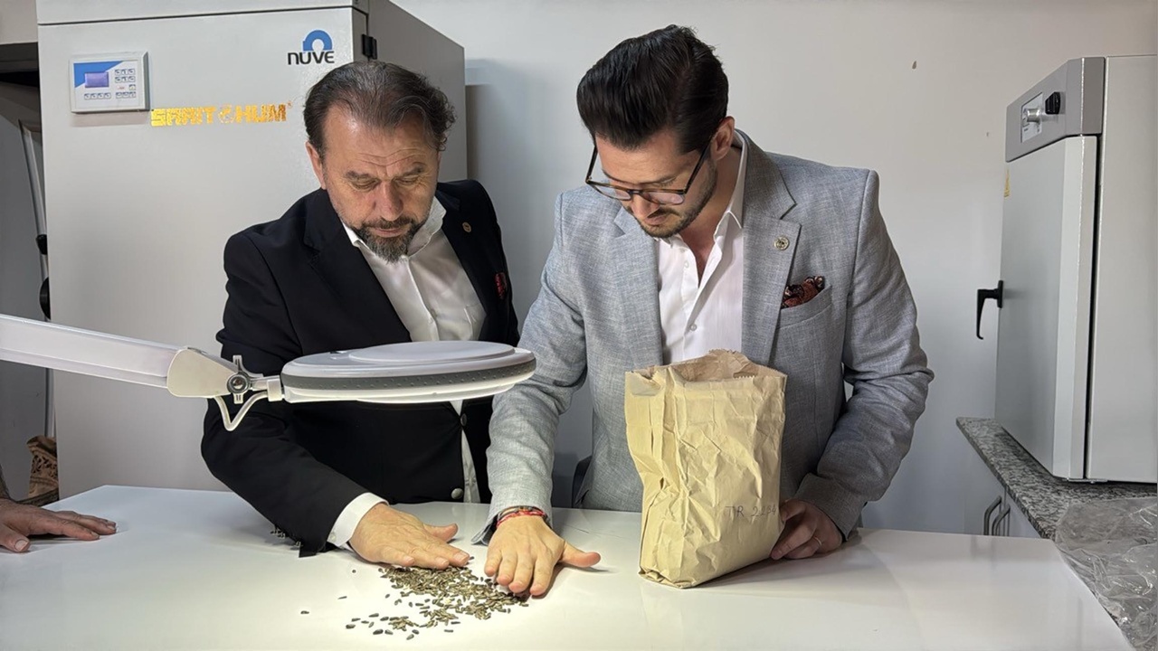 Yerli Hibrit Ayçiçeği Tohumunun Yeni Versiyonu Resmen Tescillendi