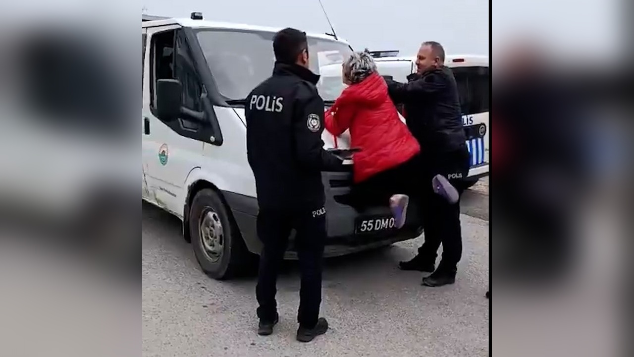 Zabıta Ekipleri Sahipsiz Hayvanları Toplarken Kadın Polisle İkna Oldu