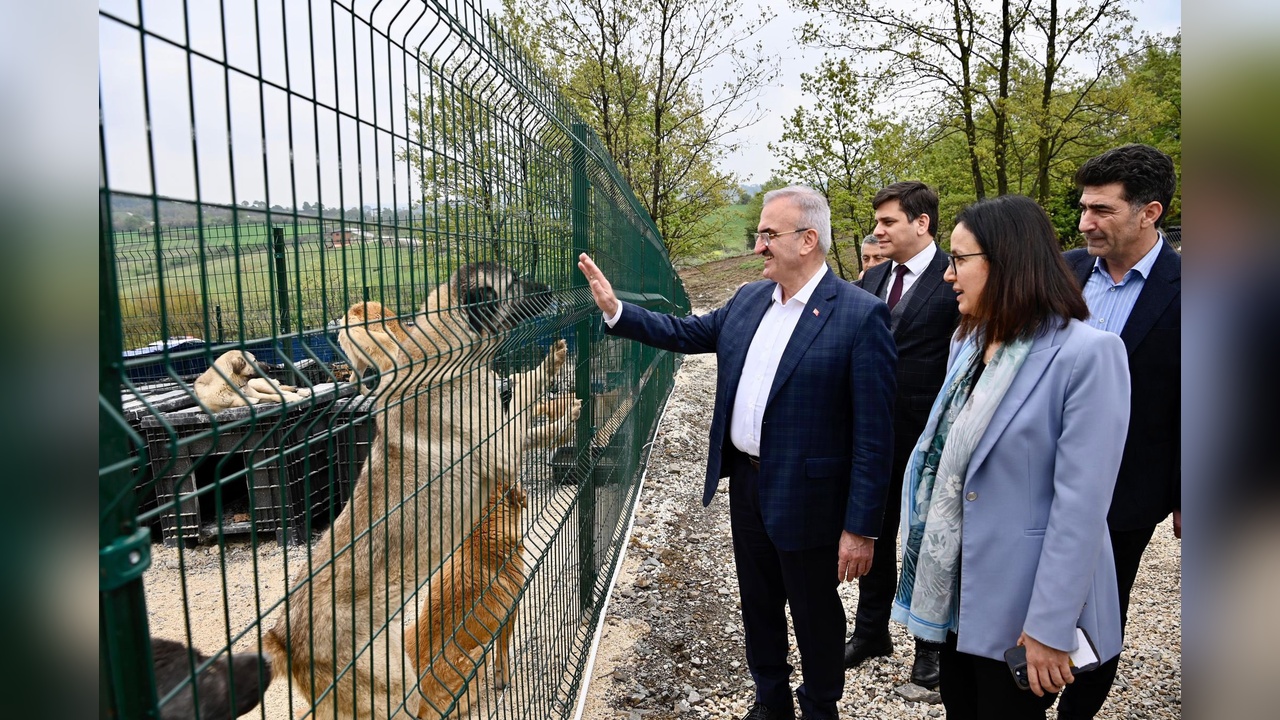 51 İlde Sokak Hayvanları İçin Doğal Yaşam Alanları Kuruluyor
