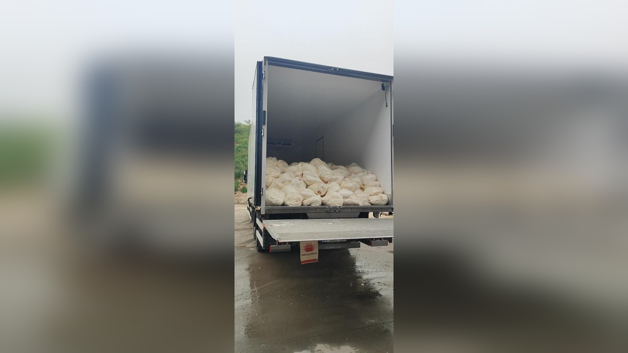Sakarya'da Tüketim Süresi Dolmuş 23 Ton Lor Peyniri İmha Edildi