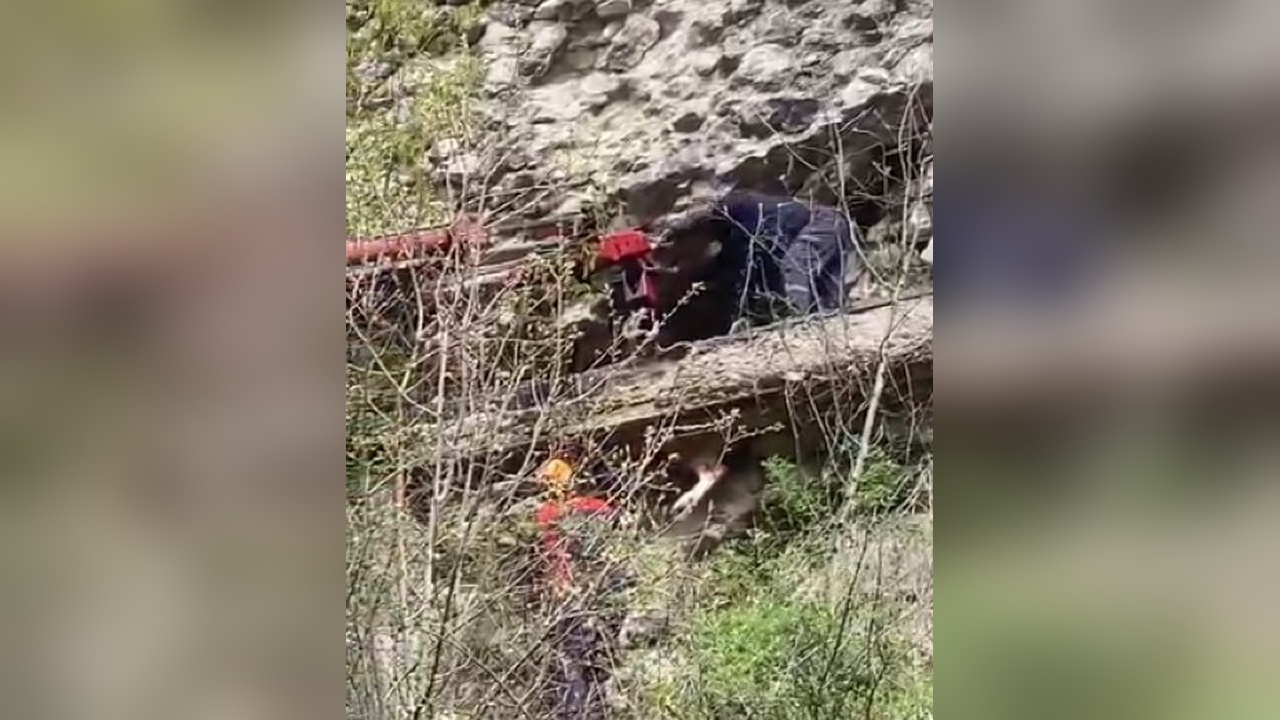 Karabük'te Kayalık Bölgeye Düşen İnek Vinçle Kurtarıldı