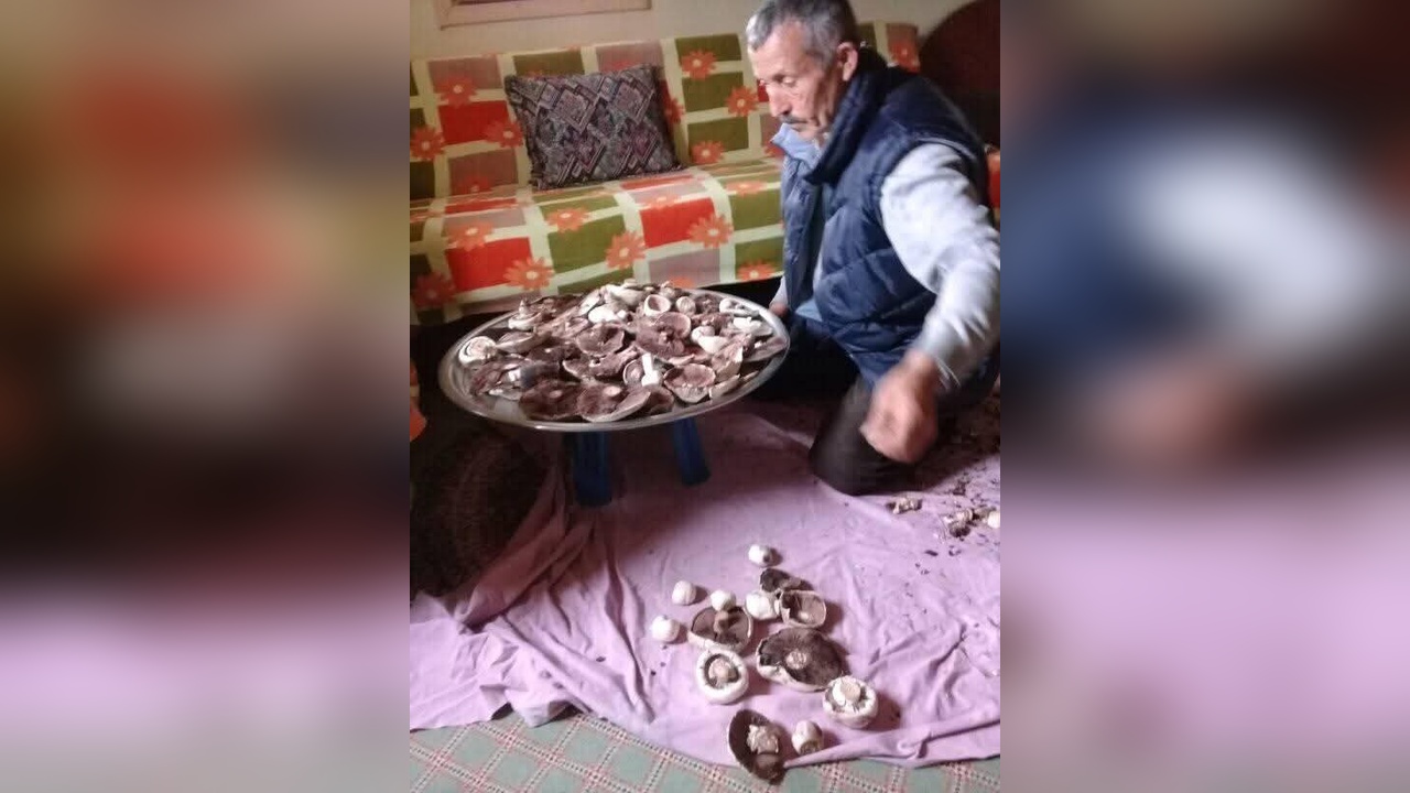 Trabzon'da Hafif Ticari Araç Uçuruma Yuvarlandı: 2 Ölü