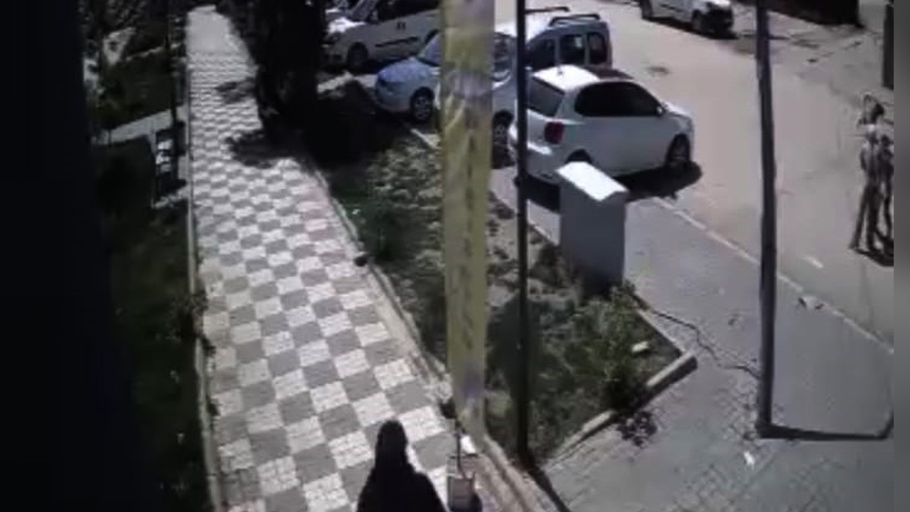 Sokak Köpeklerinin Saldırısı: Anne ve Kız Yaralandı