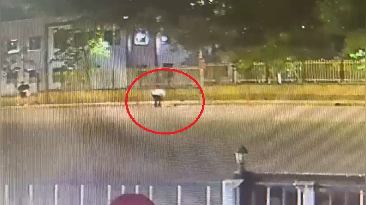 İzmir'de Bir Şüpheli Araç Durağında Duba Hırsızlığı Yaptı
