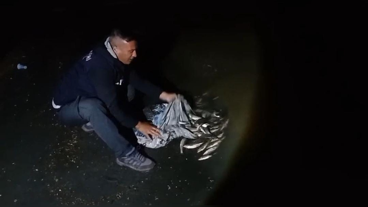 Van'da Kaçak İnci Kefali Operasyonu: 60 Kilo Canlı Balık Ele Geçirildi