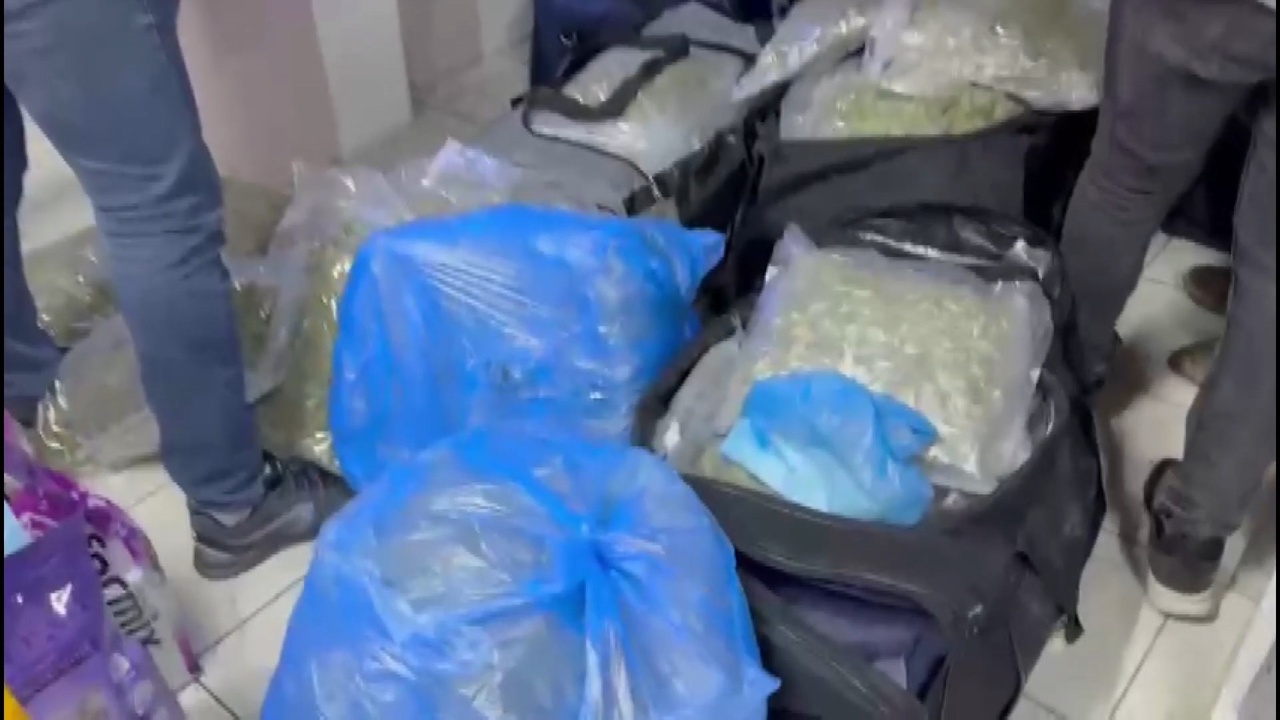 İstanbul'da Petshopta Uyuşturucu Operasyonu: 4 Gözaltı
