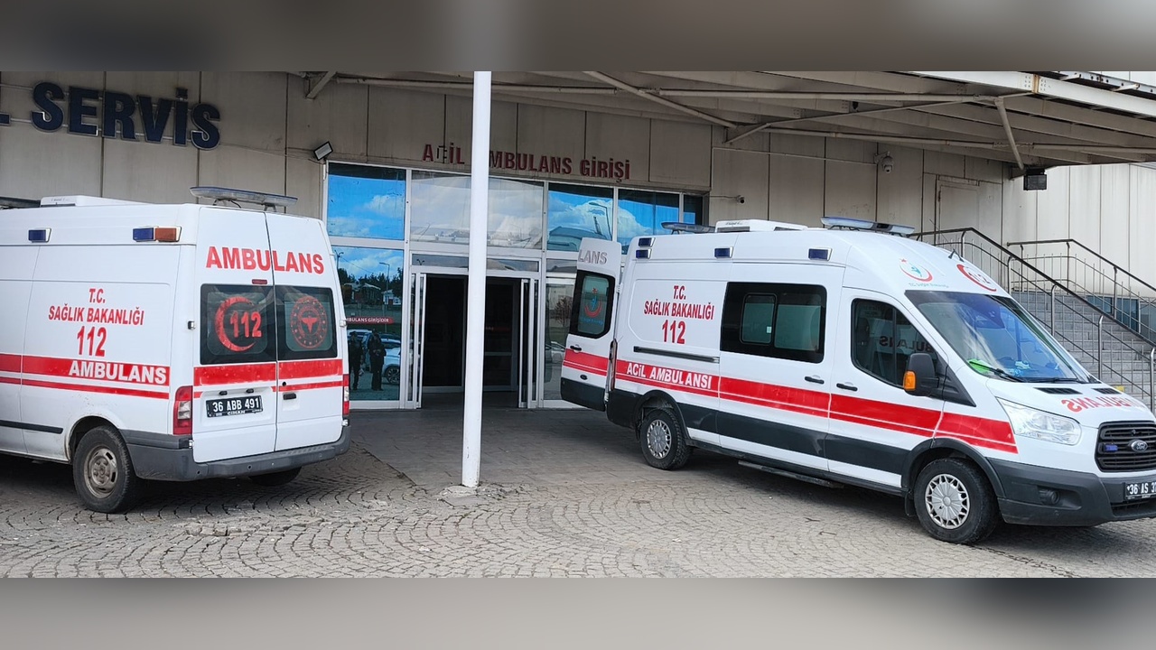Kars'ta Güzelavrat Otu Tüketen 8 Çocuk Zehirlendi