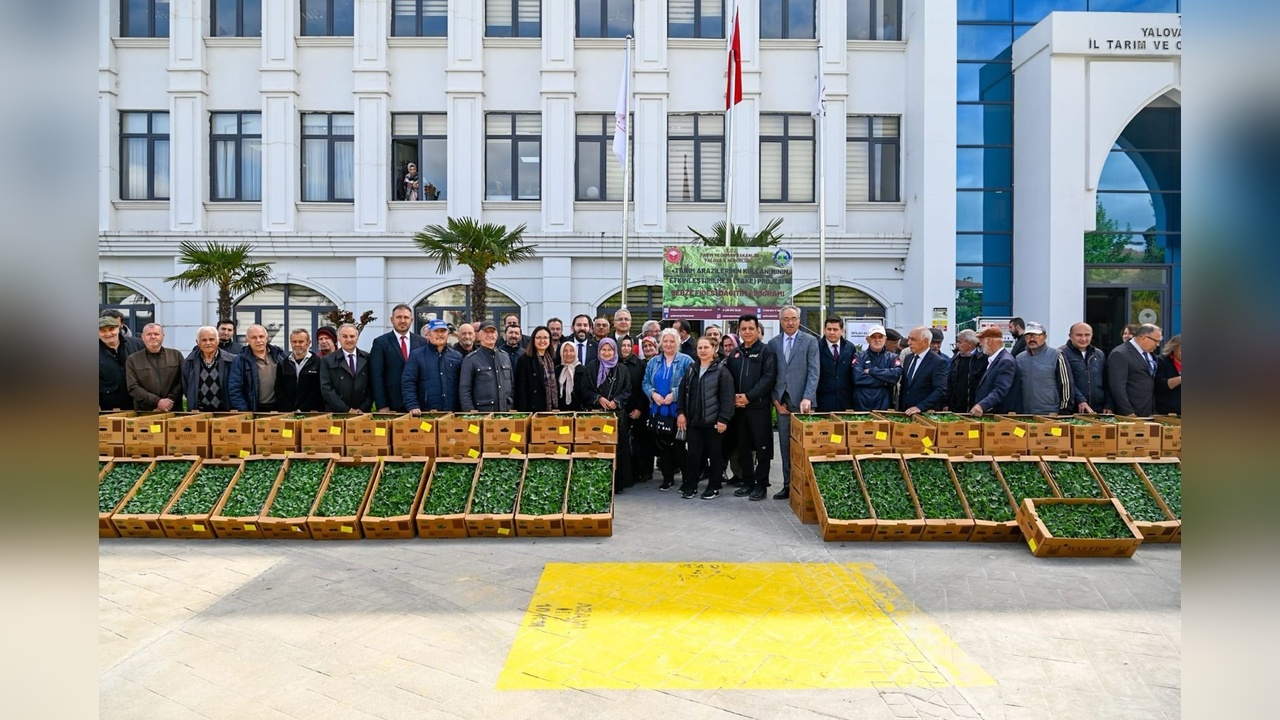 Yalova'da Çiftçilere 375 Bin Salatalık ve Biber Fidesi Desteği Sağlandı