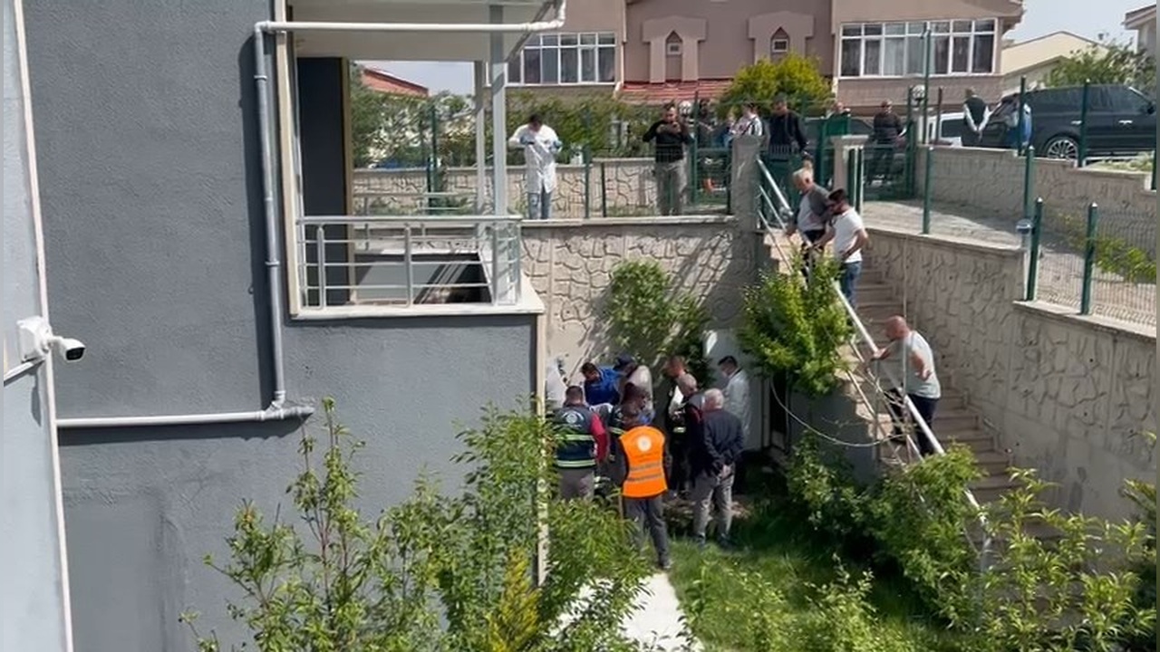 Doktorun Sahiplenip Öldürdüğü Köpek Sayısı 26'ya Yükseldi