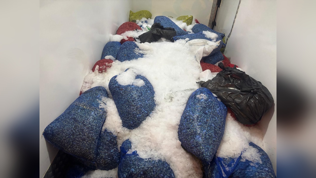 Kaçak Midye Avcılığına Uygulanan 126 Bin Liralık Ceza