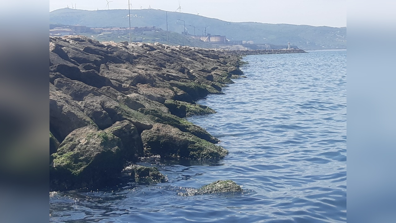 Bandırma Sahilinde Kayalıklar Arasında Ceset Bulundu