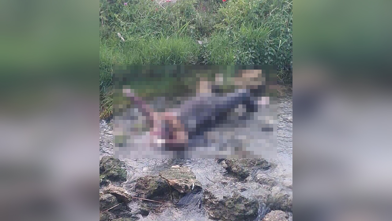 Cezaevinden izinli çıkan kişi dere yatağında ölü bulundu