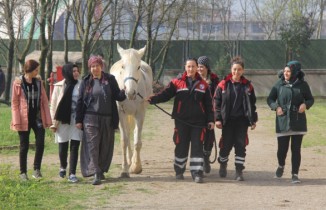Dokunmaya korktukları atların seyisi oldular