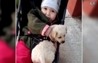 Minik Duru ve Köpük’ün güldüren halleri
