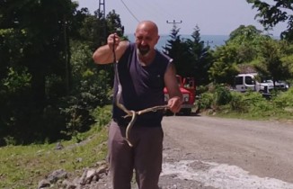 Yoluna çıkan yılanı kurtarmak için her şeyi yaptı