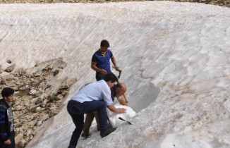 Kar için onlarca kilometre kat ediyorlar