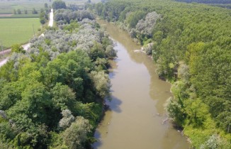 Atık sularla kirlenen Sakarya Nehri havadan görüntülendi