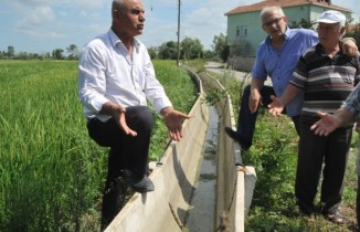 Çeltik tarlaları susuzluktan kurumaya başladı