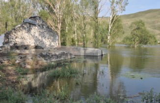 Baraj Gölü yaban hayatına ev sahipliği yapıyor