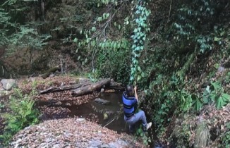 Tarzan’a özendi ama finalde suya düştü