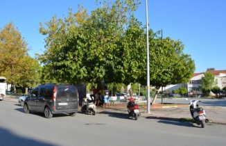 26 yıl önce diktiği ağaca adı verildi