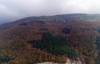 Karadeniz’de sonbaharda renk cümbüşü
