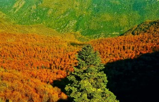 Yenice Ormanlarında sonbahar güzelliği