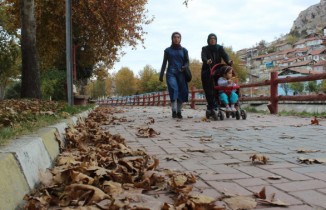 Sonbahar yaprakları 3 gün boyunca süpürülmeyecek