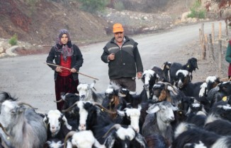Konargöçer kültürünün son temsilcileri