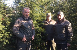 Kaçak ağaç kesimine hapis cezası var