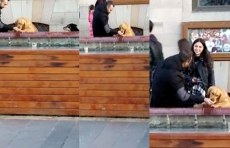 Susayan köpeğe elleriyle su içirdi