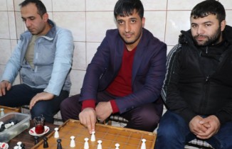 Kahvehaneden dünya şampiyonluğuna