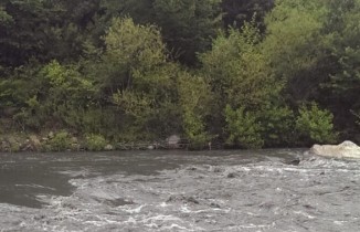 Kastamonu’da simsiyah akan çay köylüleri tedirgin etti