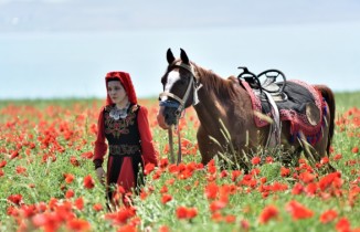 Gelincik tarlaları doğal fotoğraf stüdyosuna dönüştü