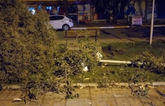 Ayvalık’ta hortum yıktı geçti