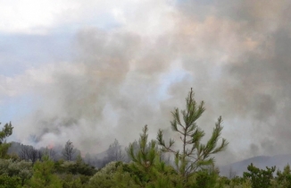 Muğla’da yeni bir orman yangını evleri tehdit ediyor