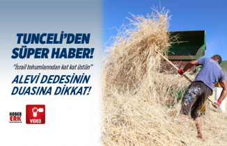 150 yıllık Karakılçık Buğdayı tohumu, İsrail tohumlarından kat kat üstün