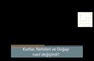 Kurtların gelişiyle mucizevi şekilde değişen doğa...