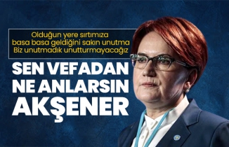Sen vefadan ne anlarsın Akşener!