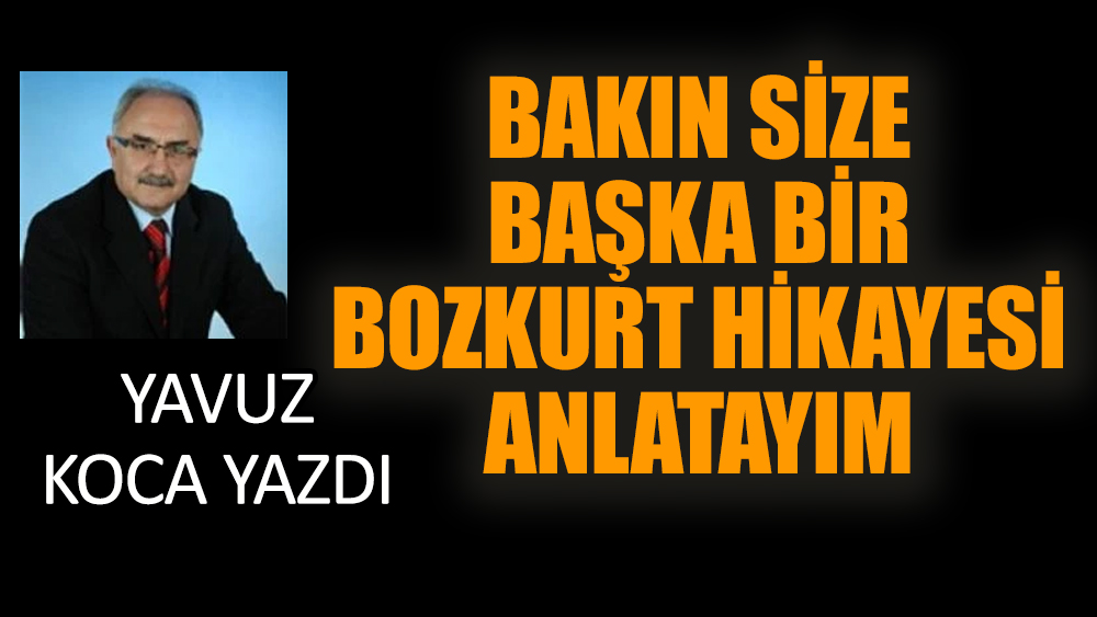 Bakın size başka bir Bozkurt hikayesi anlatayım