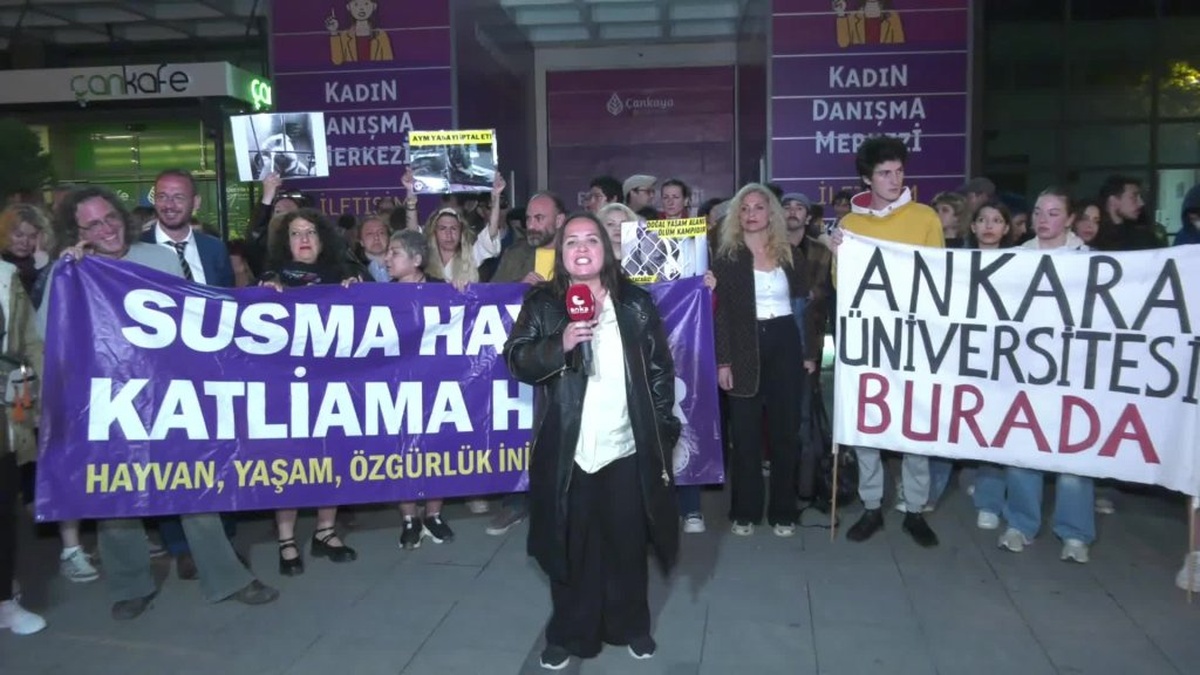 Ankara'da AYM'nin hayvan koruma kanunu kararına protesto