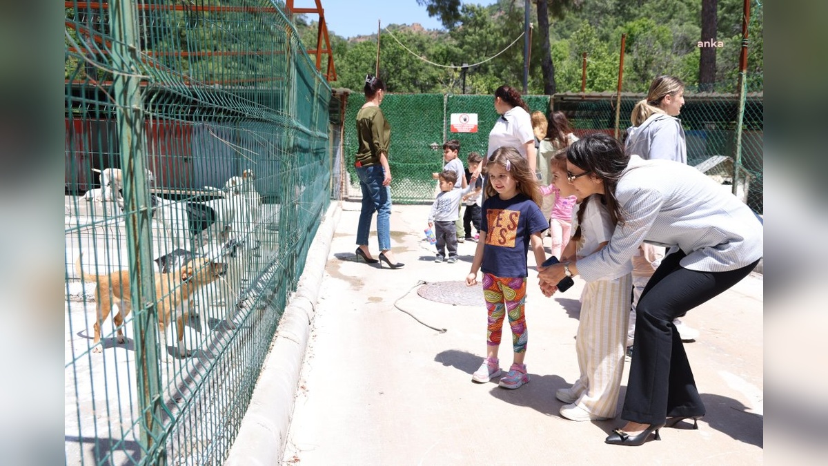 Marmaris Belediyesi Hayvan Bakımevi, Kreş Öğrencilerini Ağırladı